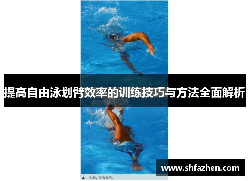 提高自由泳划臂效率的训练技巧与方法全面解析
