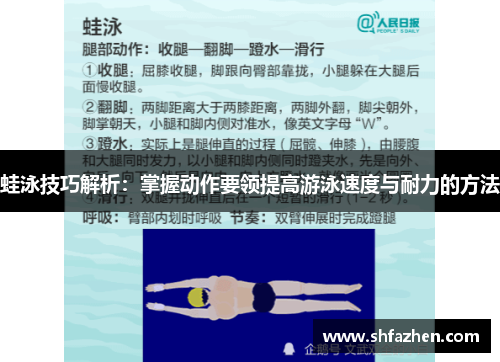 蛙泳技巧解析：掌握动作要领提高游泳速度与耐力的方法